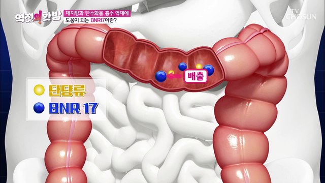 탄수화물 흡수 억제 효과가 있는 『BNR17』 TV CHOSUN 20220923 방송