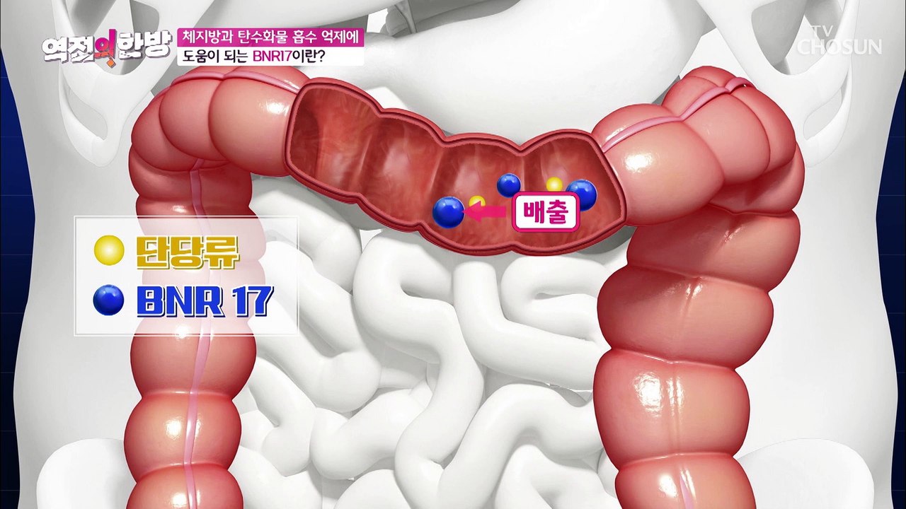 탄수화물 흡수 억제 효과가 있는 『BNR17』 TV CHOSUN 20220923 방송