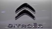 Une Citroën Ami Buggy revendue… 25.000 euros sur Leboncoin