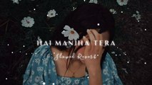 Hai Manjha Tera Tez - Vishal Mishra | Slowed Reverb | BISHAL3D