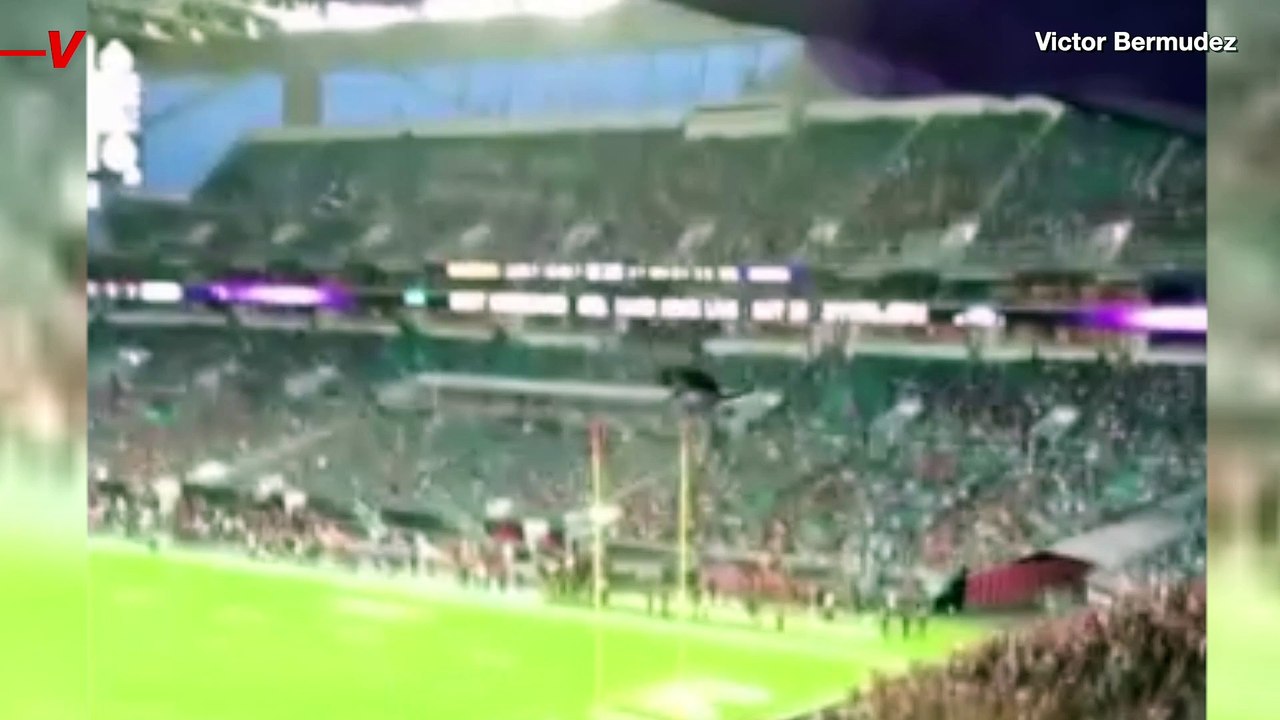 Football Fans Save Falling Cat With a Flag at a Florida Stadium