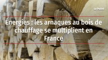 Énergies : les arnaques au bois de chauffage se multiplient en France