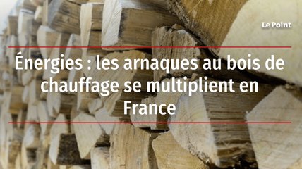 Énergies : les arnaques au bois de chauffage se multiplient en France