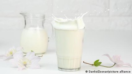 (F)actually Healthy: Mythen zu Milch