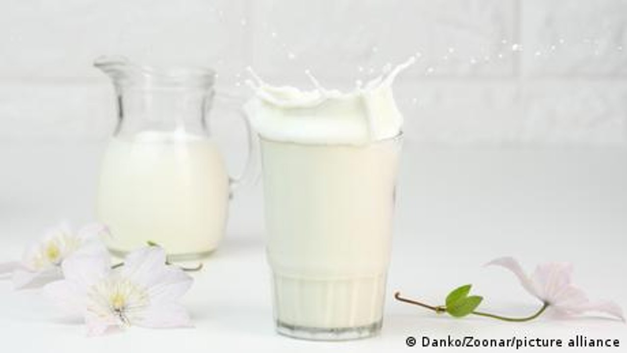 (F)actually Healthy: Mythen zu Milch