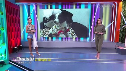 ‘Toby’, el cachorro que padece una enfermedad y fue abandonado con una carta