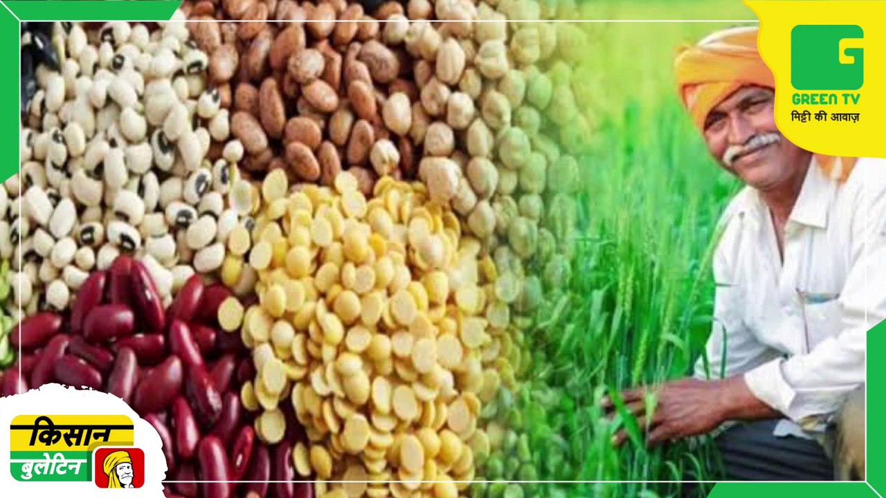 Daily Agri News Bulletin - किसानों को दलहन व तिलहन के बीज बांटेगी केंद्र सरकार, दलहन और तिलहन का उत्पादन बढ़ाने के लिए की पहल | Green TV