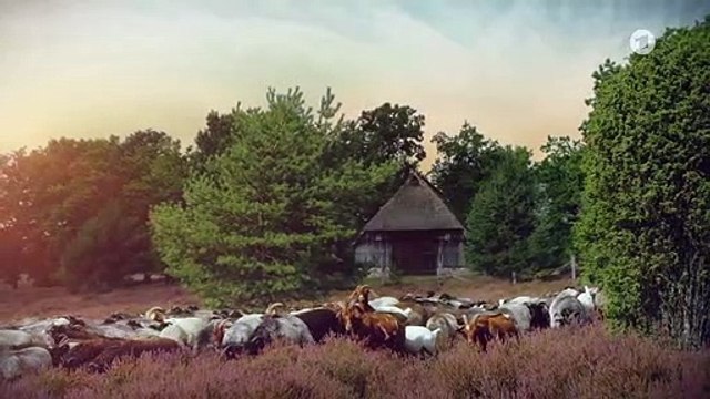 Rote Rosen 3632 folge