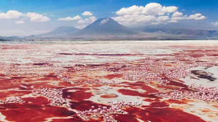 A Perfect Planet EP1 - Volcanoes (2021)