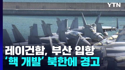 美 항모 레이건함 부산 입항...北 핵개발 경고 / YTN