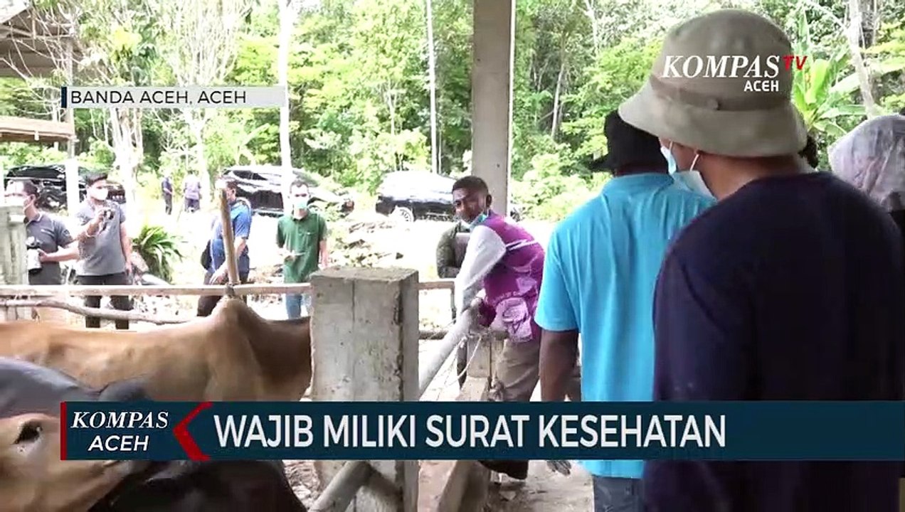 Ternak Wajib Miliki Surat Kesehatan