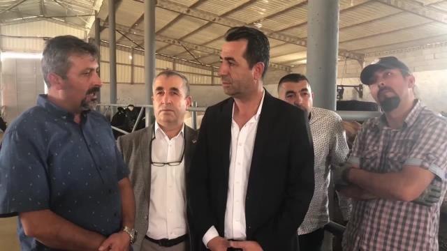 Niğdeli Süt Üreticisi: Süt İhracatı Durduruldu. Süt Üretimi Durdu Bunun Yanında, Damızlık Hayvanlar Kesine Gidiyor