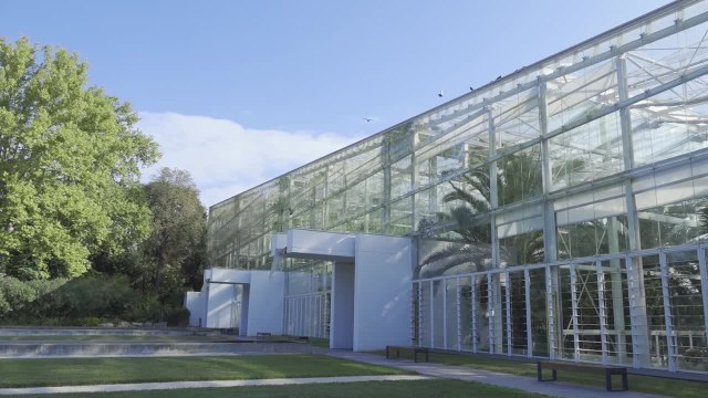 Scuttari: Pnrr occasione unica per costruire l'Universita' del futuro