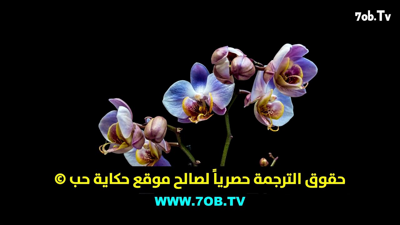 الهيانة - الحلقة 1