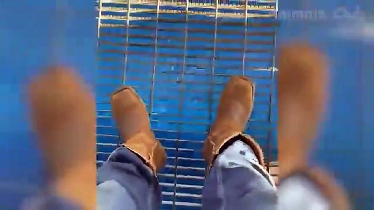 Best funniest animal videos compilation 2022• Cute Cat and Dog funny video