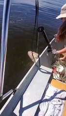 Ce qu'il remonte dans son filet est totalement imprévu