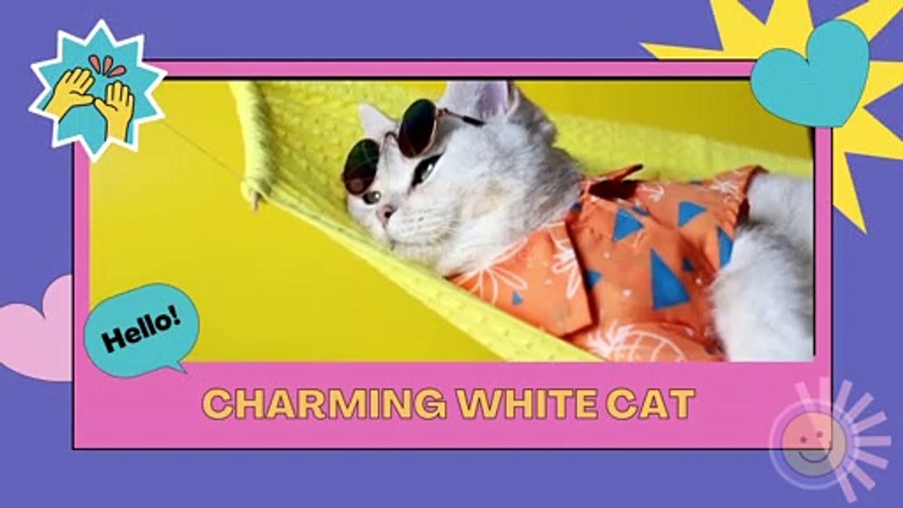 charming white cat enjoying time