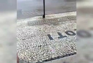 Rato é flagrado se agarrando a poste para não ser levado por enxurrada