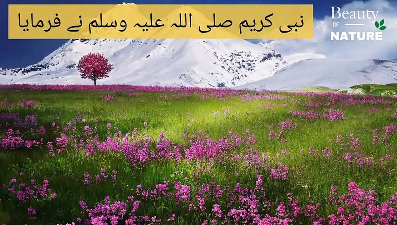 Sahih Bukhari Hadees No.29 _ Hadees Nabvi in Urdu _ Bukhari Hadees _ Bukhari Shareef in Urdu