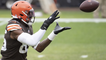 Cleveland Browns Week 3 Fantasy Standouts