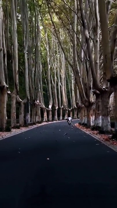 Byutifull place