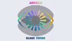 Arkells - Take Back Everything