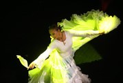 Mersin haberi: Paraguay dans grubu Ballet Movimientos, Mersin'de gösteri yaptı