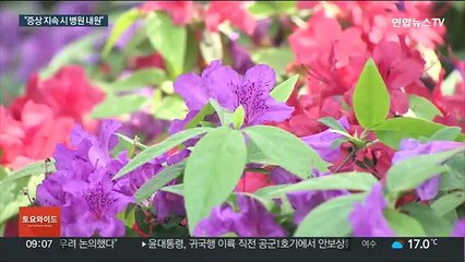 여기저기서 '엣취'…가을 불청객 '알레르기 비염' 주의
