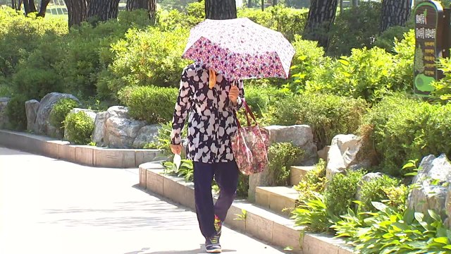 [날씨] 토요일, 아침 '쌀쌀', 낮 '선선'...큰 일교차 유의 / YTN