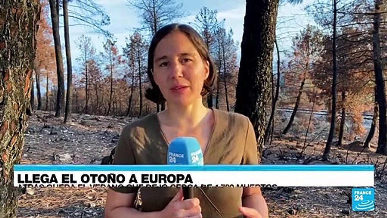 Informe desde Zamora: España despide el verano con 4.700 personas fallecidas por altas temperaturas