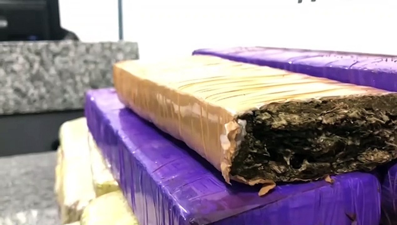 Mulher em posse de 16 tabletes de maconha é detida pelo Pelotão de Choque e Denarc durante operação