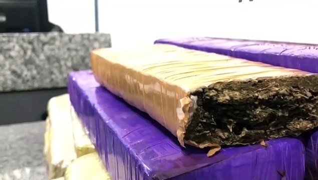 Mulher em posse de 16 tabletes de maconha é detida pelo Pelotão de Choque e Denarc durante operação