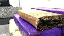 Mulher em posse de 16 tabletes de maconha é detida pelo Pelotão de Choque e Denarc durante operação