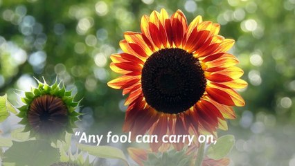 37 Joseph Conrad quotes that will motivate you