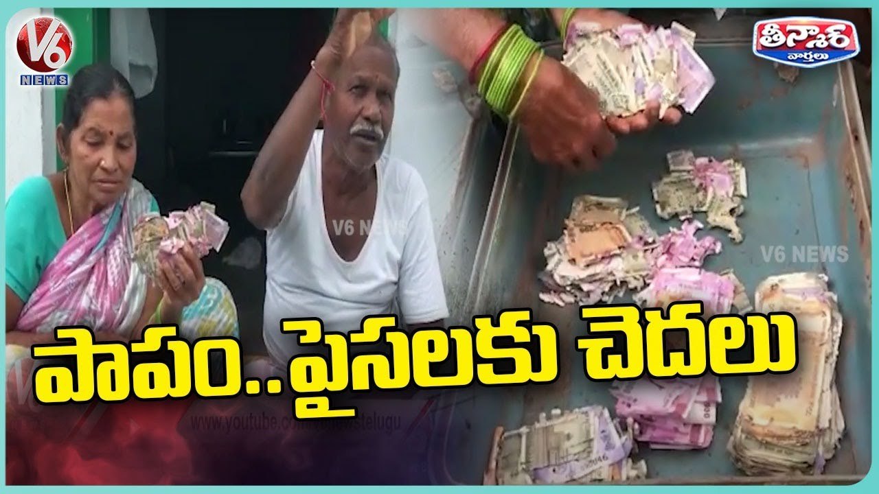 Termites Eats 1.5 Lakh Worth Currency Notes in Trunk Box _ Khammam _ V6 Teenmaar (1)