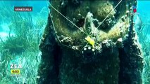 Venezolanos protegen la fauna marina con una escultura de la Virgen del Valle