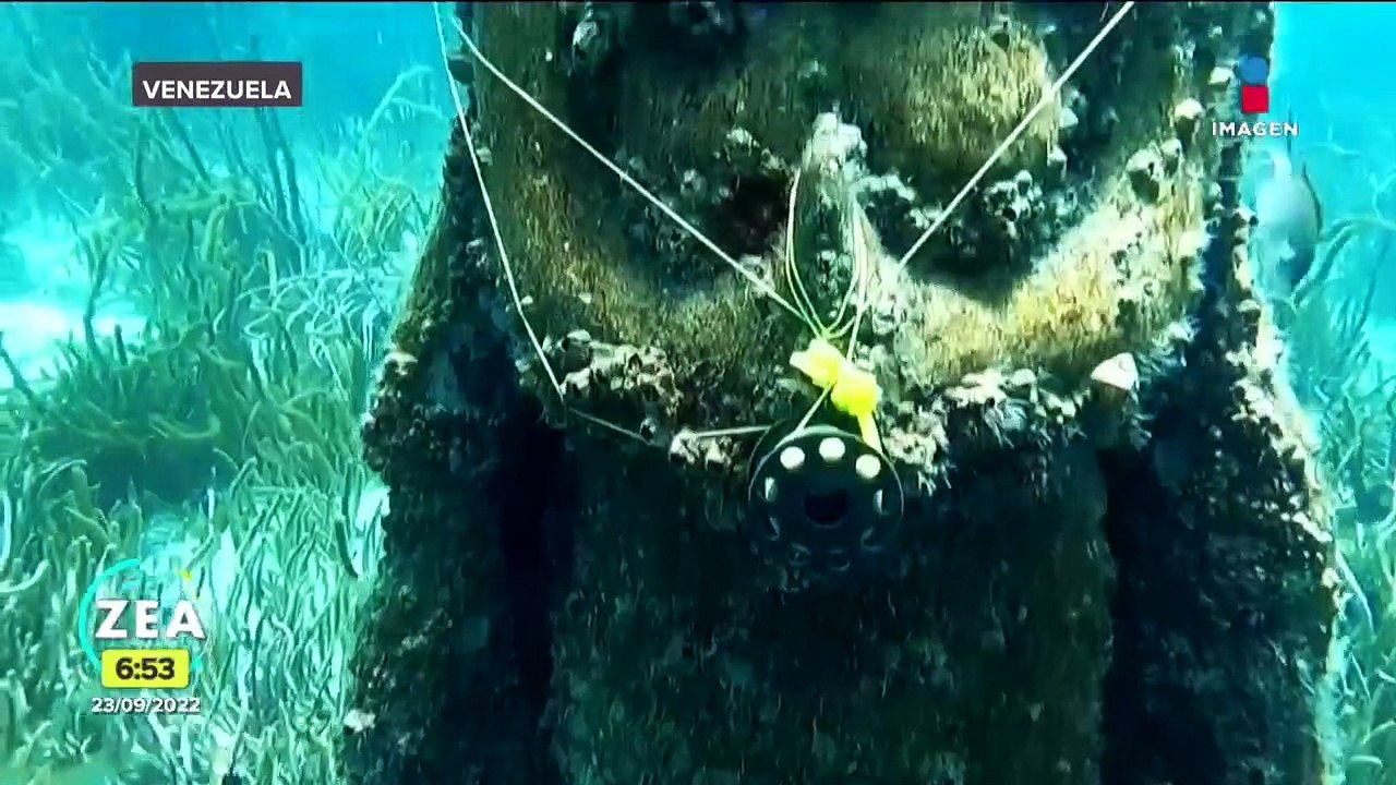 Venezolanos protegen la fauna marina con una escultura de la Virgen del Valle