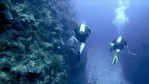 Scuba diver is amused when shark scares his brother