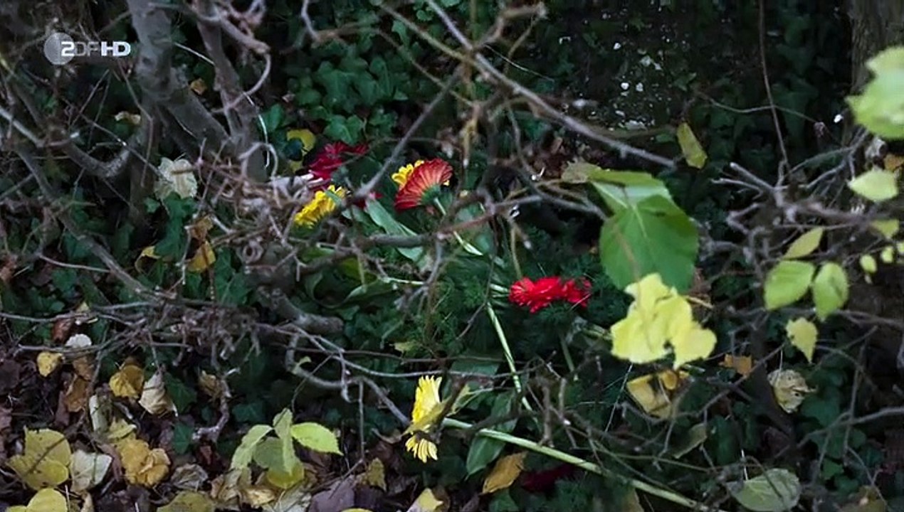 Marie Brand Staffel 1 Folge 23 - Part 01 HD Deutsch