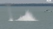 Navy dive team disposes  of a suspected World War II era mortar in Darwin Harbour |  September 27, 2022 | Katherine Times