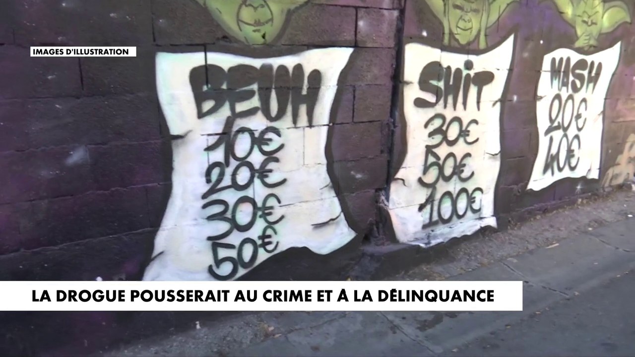 Une étude met en lumière le lien entre drogue et délinquance