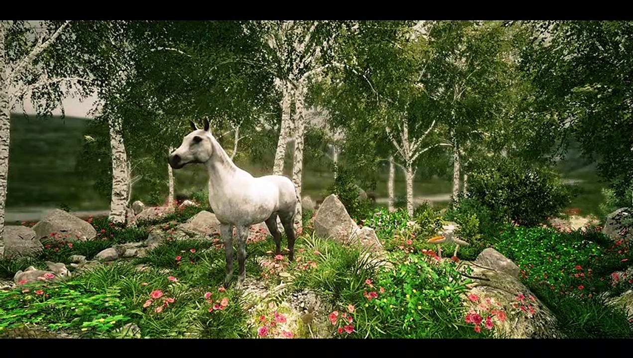 So cute and beautiful White Horse