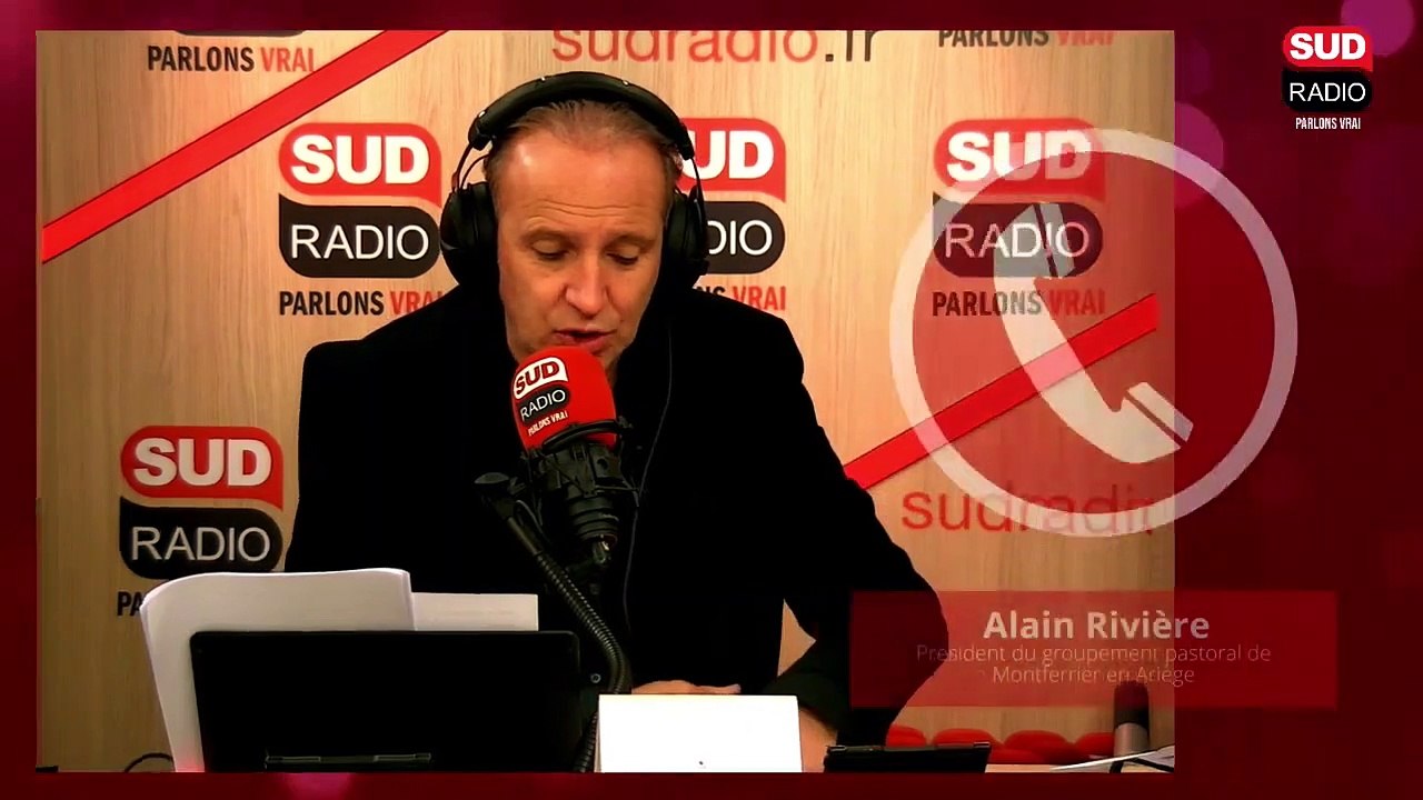 "J'y ai laissé ma santé" : en Ariège, un ours tue les brebis et terrorise les éleveurs