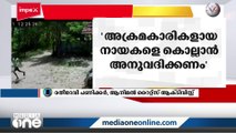 ''അന്തസ്സുള്ള നായകൾക്ക് വേണ്ടിയാണ് നമ്മൾ സംസാരിച്ചുകൊണ്ടിരിക്കുന്നത്‌''