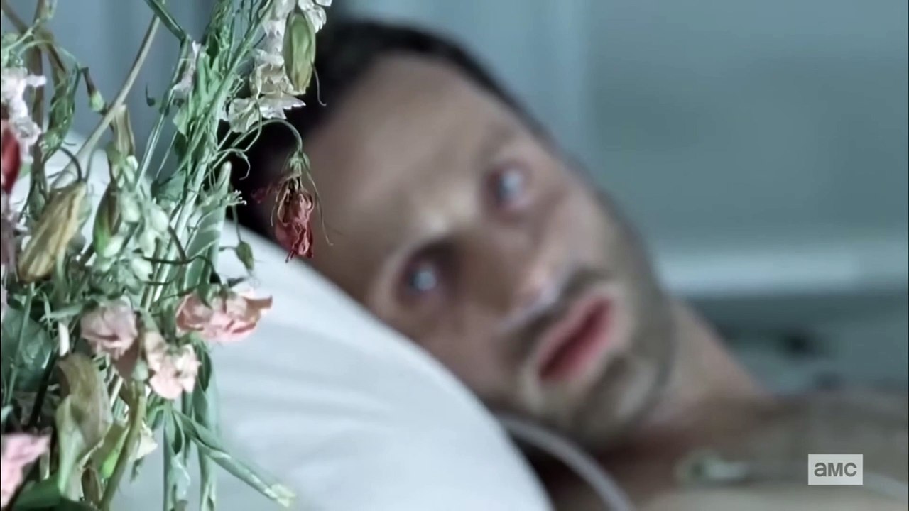 The Walking Dead Next Episode