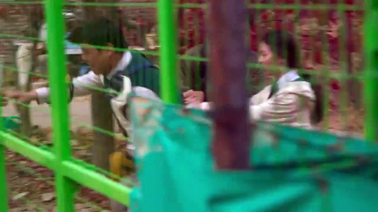 All of Us Are Dead Staffel 1 Folge 11 HD Deutsch