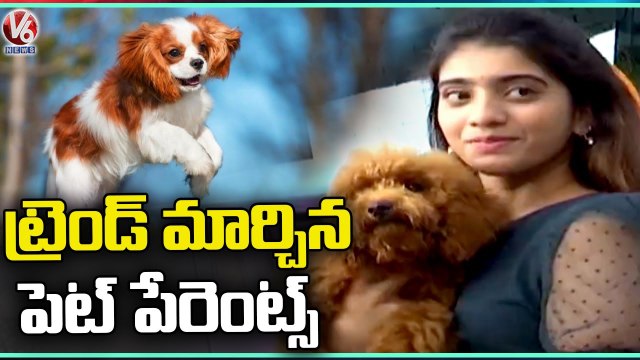 People Showing Interest On Breeding Pets, Huge Demand For Grooming Centers _ V6 News