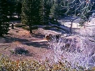 Bonanza Staffel 3 Folge 31 HD Deutsch