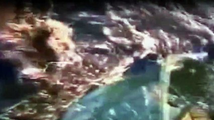 Das Survival-Duo Zwei MäNner, Ein Ziel Staffel 2 Folge 10 HD Deutsch