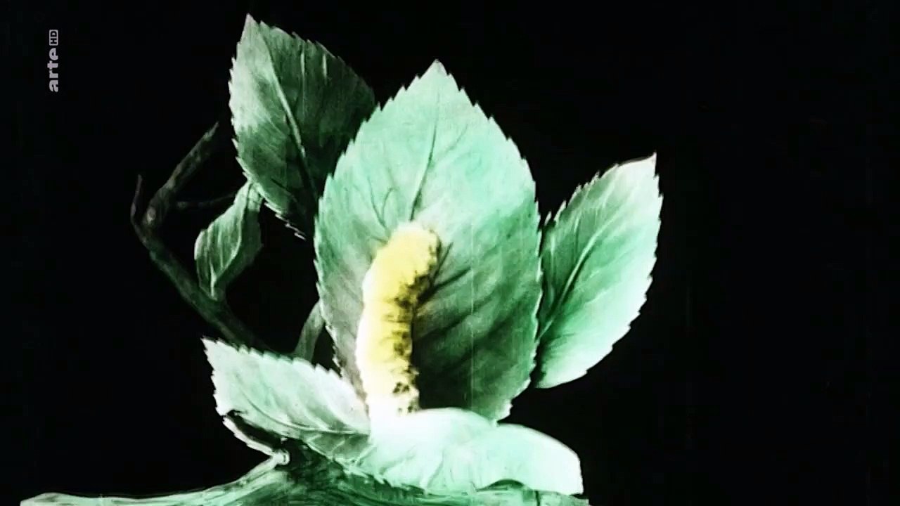 Liebe am Werk Staffel 1 Folge 2 HD Deutsch